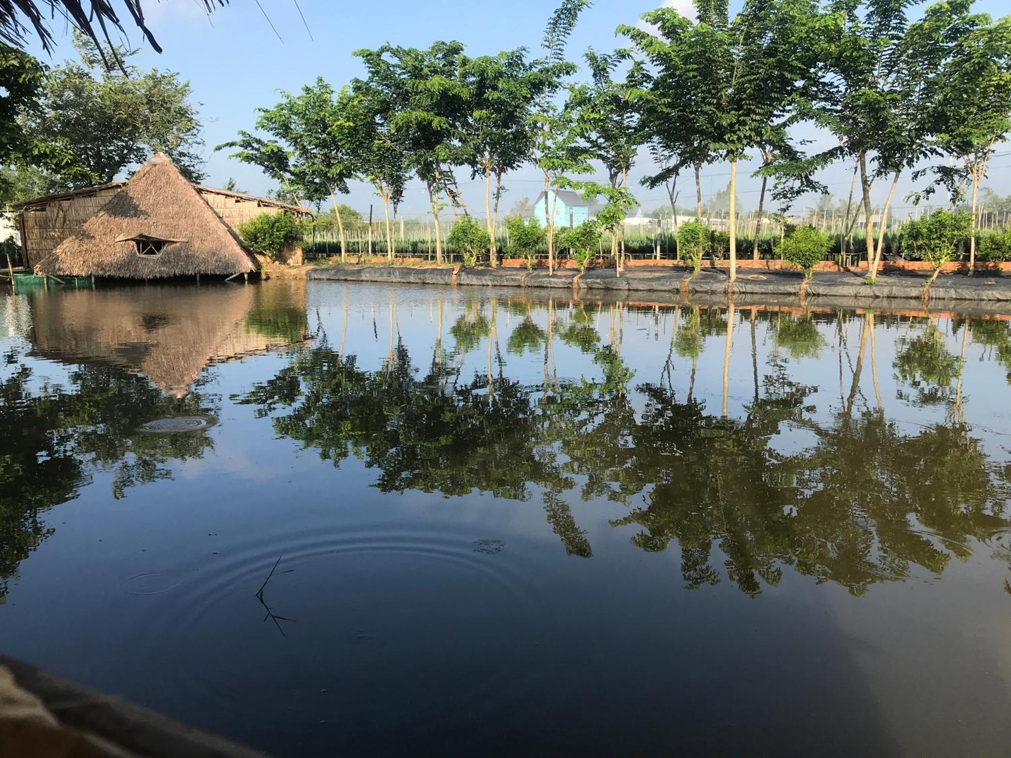 Maison En Bambou Phong-Le Vent Sa Dec Екстер'єр фото